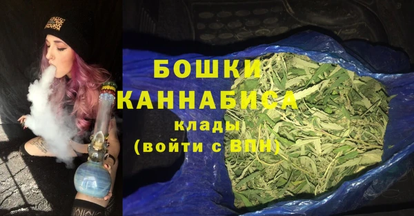 первитин Тосно